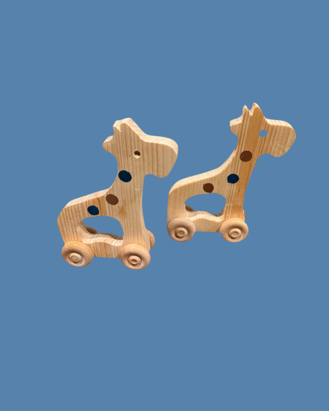Wooden Push Toy